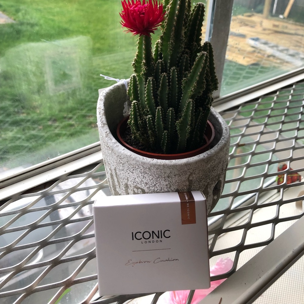 Iconic eyebrow cushion